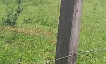 Imagem: Sítio à venda no bairro Área Rural de