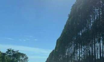 Imagem 5: Fazenda à venda no bairro Centro - Brasilândia de Minas/MG