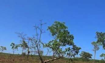 Imagem: Fazenda à venda no bairro Centro - Brasilândia