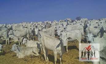 Imagem: Fazenda à venda no bairro Centro - Montes