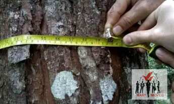 Imagem 6: Fazenda à venda no bairro Centro - Paraibuna/SP