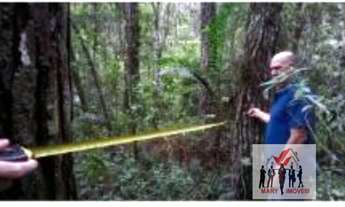 Imagem 4: Fazenda à venda no bairro Centro - Paraibuna/SP