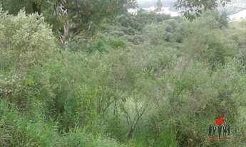 Imagem 3: Área Residencial para Venda em Santa Maria Poços de Caldas-MG