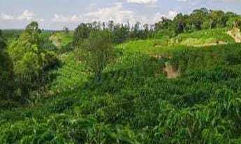 Imagem 6: Sítio à venda no bairro Centro - Botelhos/MG