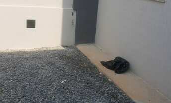 Imagem 5: Casa Padrão, 3 dormitórios na Rua Mucovita