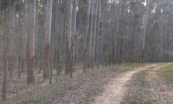 Imagem: Fazenda à venda no bairro Centro - São