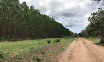 Imagem 2: Fazenda à venda no bairro Centro - São João do Paraíso/MG