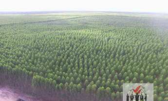 Imagem 3: Fazenda à venda no bairro Centro - São João do Paraíso/MG