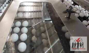 Imagem 7: Indústria à venda no bairro Centro - São Paulo/SP