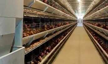 Imagem 4: Indústria à venda no bairro Centro - São Paulo/SP