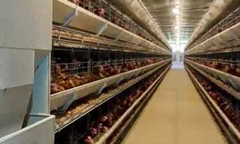 Imagem 3: Indústria à venda no bairro Centro - São Paulo/SP