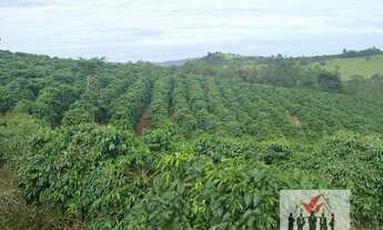 Imagem: Sítio à venda no bairro Centro - Caconde/SP