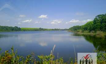 Imagem 2: Fazenda à venda no bairro Centro - Pindorama do Tocantins/TO