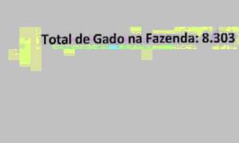 Imagem 4: Fazenda à venda no bairro Centro - Pindorama do Tocantins/TO