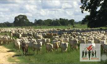 Imagem 2: Fazenda à venda no bairro Zona Rural - Poconé/MT