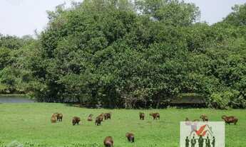 Imagem 7: Fazenda à venda no bairro Zona Rural - Poconé/MT