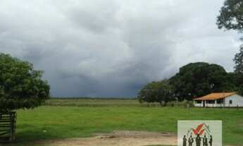 Imagem 5: Fazenda à venda no bairro Zona Rural - Poconé/MT