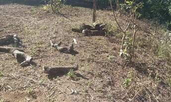 Imagem 3: Chácara à venda em Poços de Caldas/MG