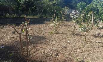 Imagem 2: Chácara à venda em Poços de Caldas/MG