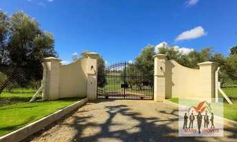 Imagem 6: Sítio à venda no bairro Bortolan - Poços de Caldas/MG