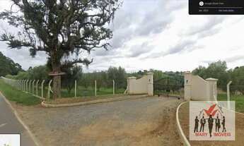 Imagem 7: Sítio à venda no bairro Bortolan - Poços de Caldas/MG