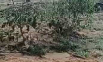 Imagem: Fazenda à venda em Perdões/MG