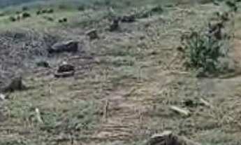 Imagem 3: Fazenda à venda em Perdões/MG