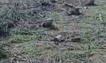 Imagem 2: Fazenda à venda em Perdões/MG