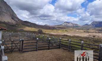 Imagem 4: Fazenda à venda em Pedra Azul/MG