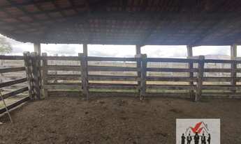 Imagem 3: Fazenda à venda em Pedra Azul/MG