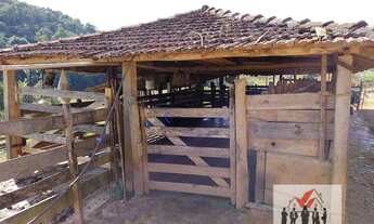 Imagem: Sítio à venda no bairro Centro - Caldas/MG