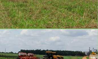 Imagem 4: Fazenda à venda no bairro Centro - Araguaína/TO