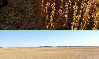 Imagem 3: Fazenda à venda no bairro Centro - Araguaína/TO