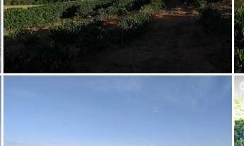 Imagem 5: Fazenda à venda no bairro Centro - Pedregulho/SP