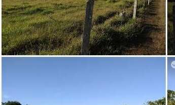 Imagem 6: Fazenda à venda no bairro Centro - Pedregulho/SP