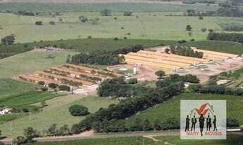 Imagem 7: Indústria à venda no bairro Centro - Curitiba/PR