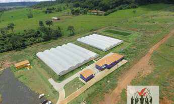 Imagem: Sítio à venda em São Simão/SP