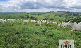 Imagem: Fazenda à venda em Jacutinga/MG