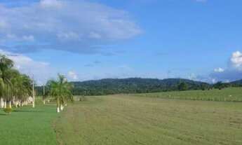 Imagem: Fazenda à venda no bairro Centro - Porto