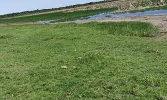 Imagem: Fazenda à venda em Campos dos Goytacazes/RJ