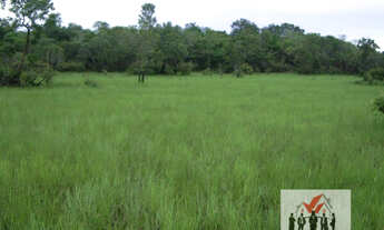 Imagem 6: Fazenda à venda no bairro Centro - Alto Araguaia/MT