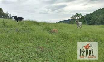 Imagem 3: Área à venda no bairro Centro - Botelhos/MG
