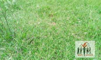 Imagem 7: Área à venda no bairro Centro - Botelhos/MG