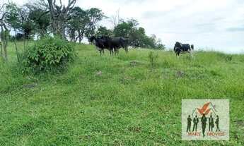 Imagem: Área à venda no bairro Centro - Botelhos/MG