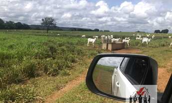 Imagem: Fazenda à venda no bairro Setor Central