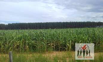 Imagem: Fazenda à venda no bairro Centro Sul