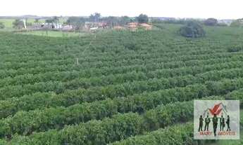 Imagem 6: Fazenda à venda no bairro Centro - Fernandópolis/SP