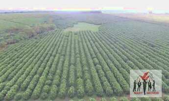 Imagem 7: Fazenda à venda no bairro Centro - Fernandópolis/SP