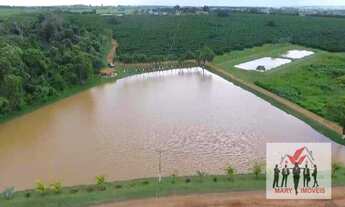 Imagem 3: Fazenda à venda no bairro Centro - Fernandópolis/SP