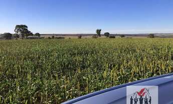 Imagem: Fazenda à venda no bairro Vila Rocha